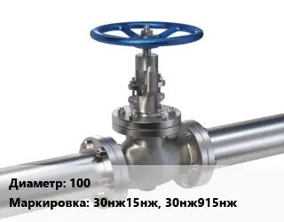 Задвижка нержавеющая 100 30нж15нж, 30нж915нж Ру40 клиновая